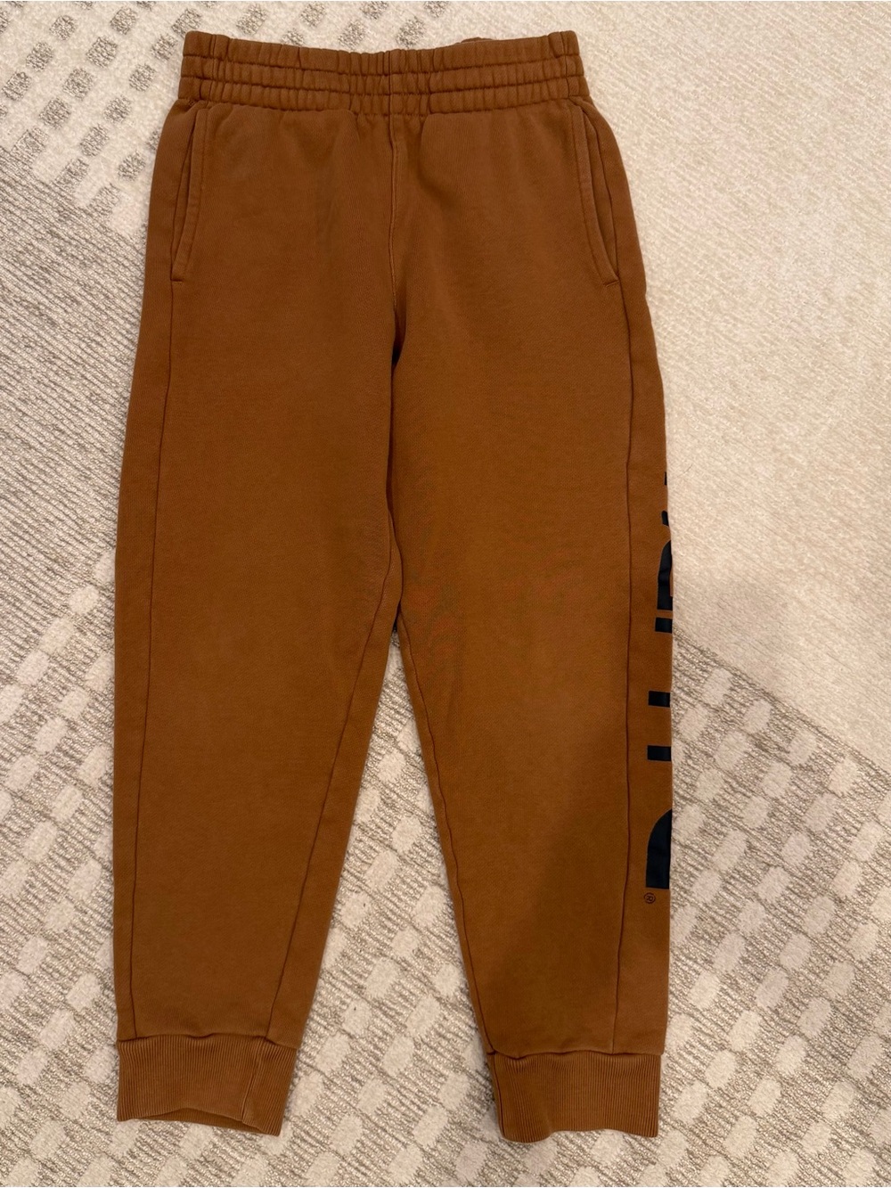 Boy Carhartt jogger sweatpants, small 8-10
